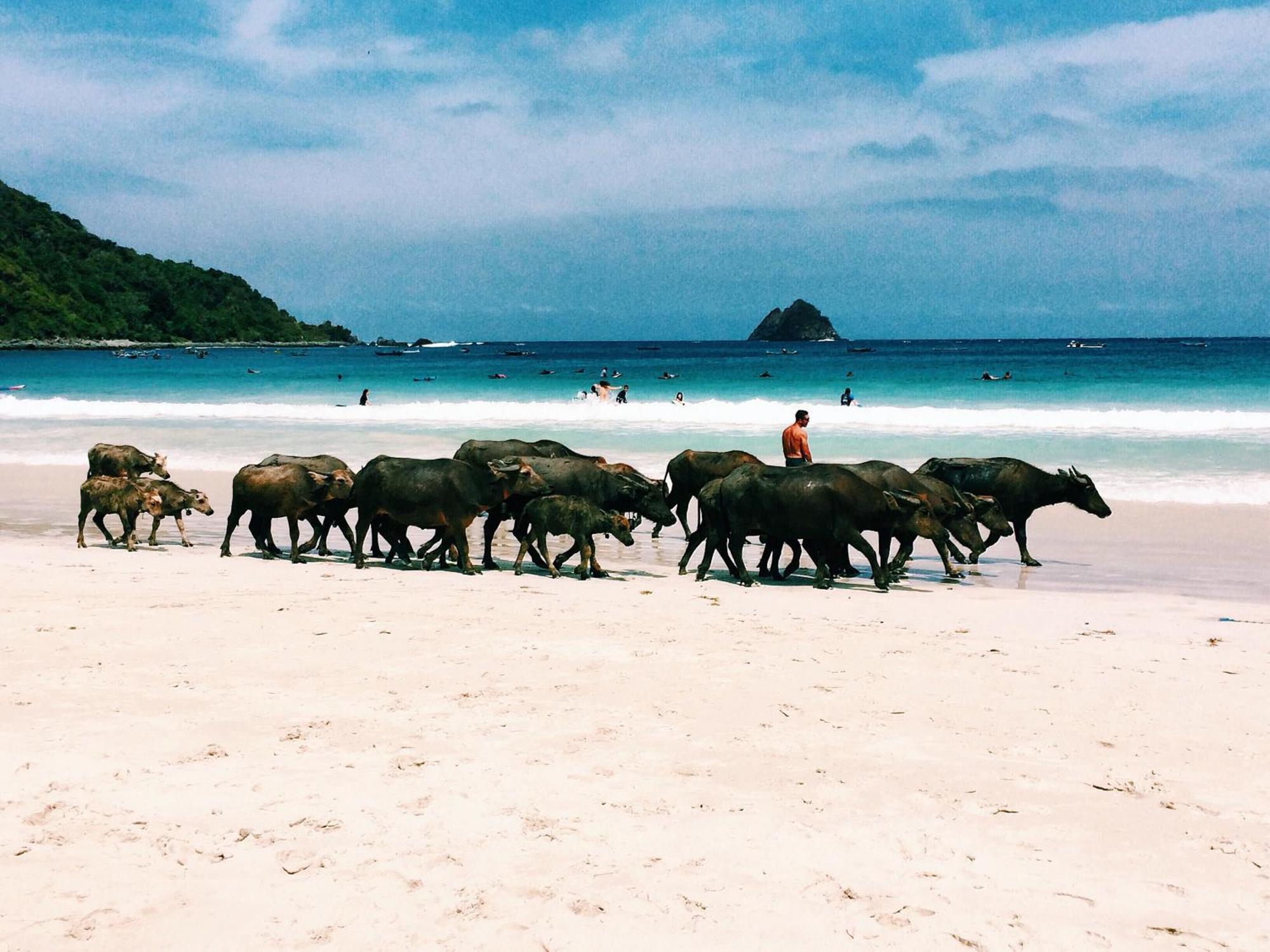 Luana Lombok Hotel Selong Belanak Exterior foto